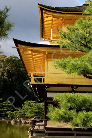 The Sun Temple, Kyoto Japan series of images photographed in the autumn