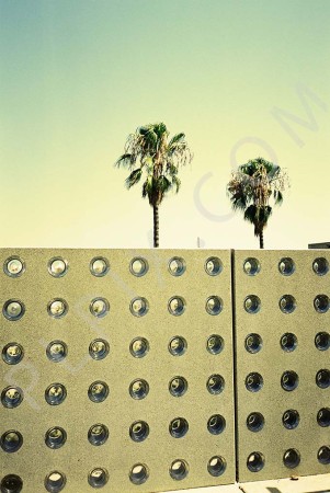 Wall with small round glass holes and palm trees in the background Barcelona, Spain .