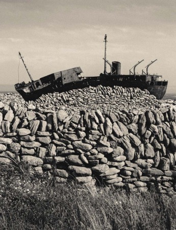 A fine art print of the Plassey Shipwreck