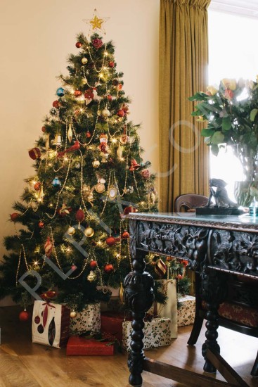 Interior Photography Restored Period Castle at Christmas
